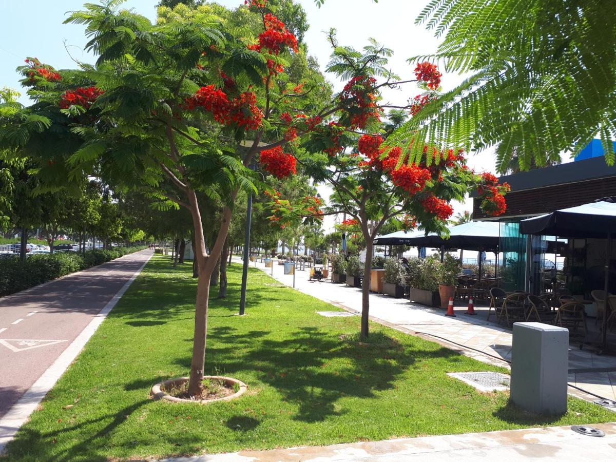 לימסול Sea Front & City Center, Amazing Sea View מראה חיצוני תמונה
